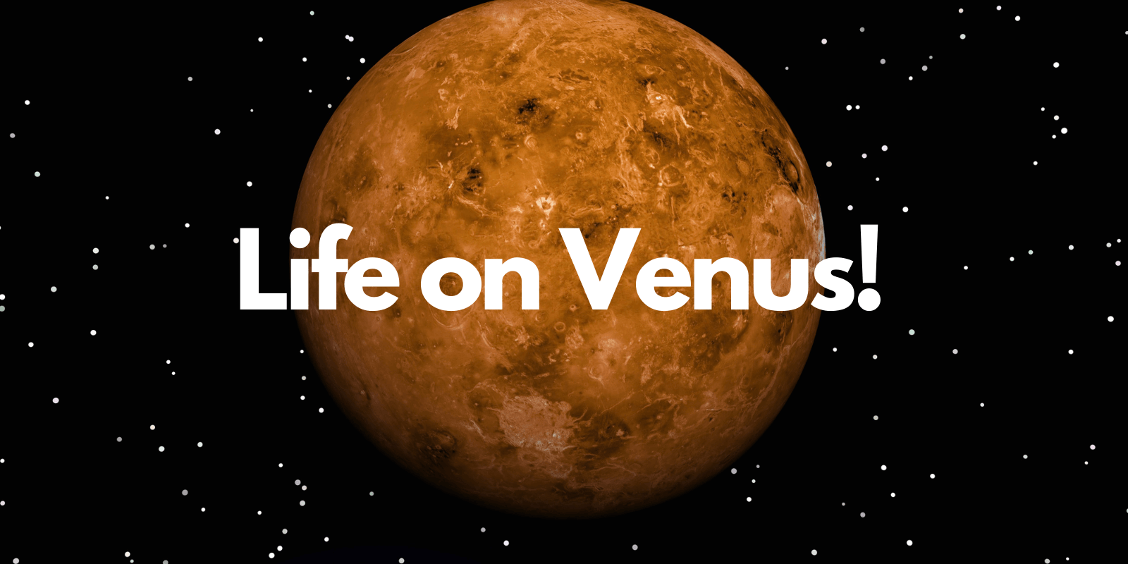 Life On Venus 2024 - Cordi Eustacia